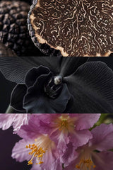 Yodeyma Oude No.30 Inspired By Tom Ford Black Orchid