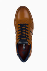 Lloyd & Pryce Mens Skelton Leather Trainers Umber Tan Northern