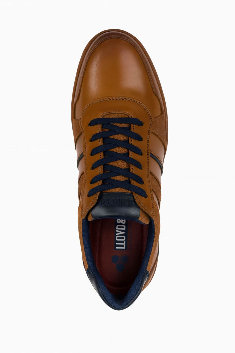 Lloyd & Pryce Mens Skelton Leather Trainers Umber Tan Northern
